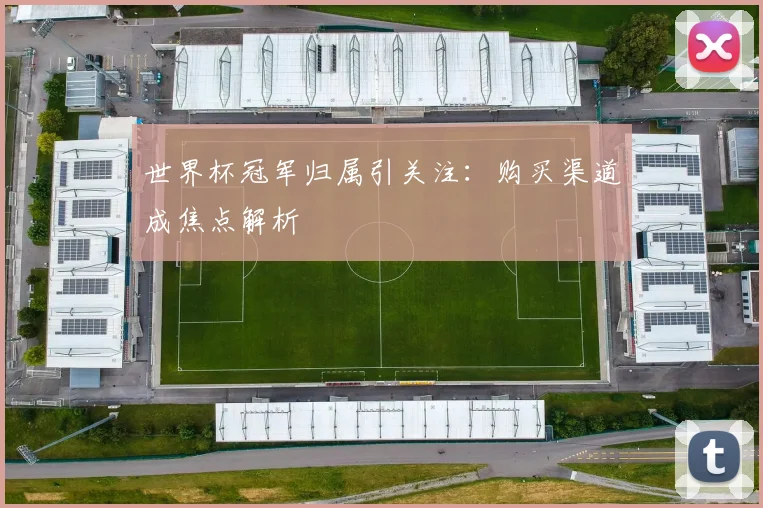世界杯冠军归属引关注：购买渠道成焦点解析
