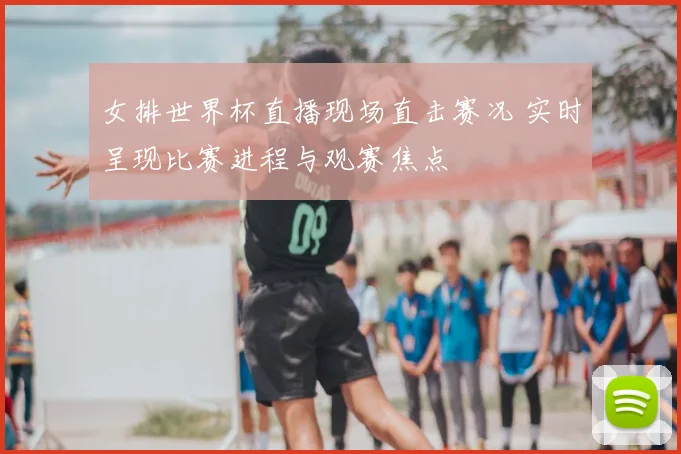 女排世界杯直播现场直击赛况 实时呈现比赛进程与观赛焦点