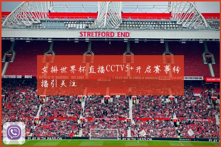 女排世界杯直播CCTV5+开启赛事转播引关注