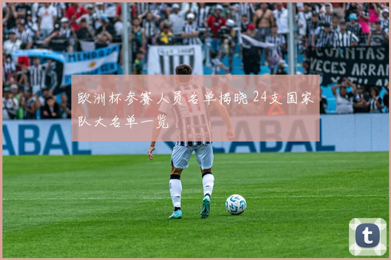 欧洲杯参赛人员名单揭晓 24支国家队大名单一览