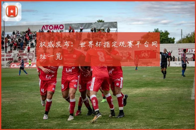权威发布：世界杯指定观赛平台网址一览