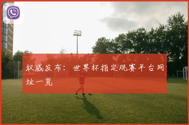 权威发布：世界杯指定观赛平台网址一览