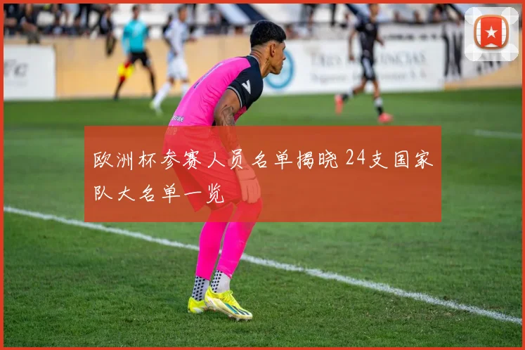 欧洲杯参赛人员名单揭晓 24支国家队大名单一览