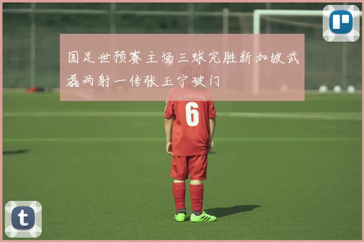 国足世预赛主场三球完胜新加坡武磊两射一传张玉宁破门