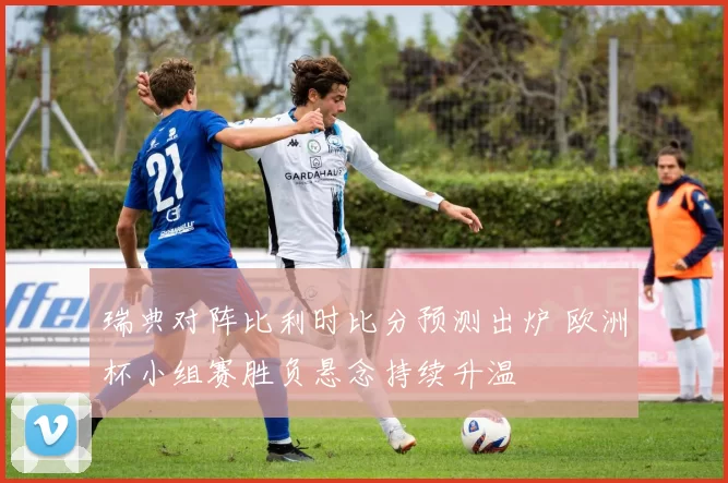 瑞典对阵比利时比分预测出炉 欧洲杯小组赛胜负悬念持续升温