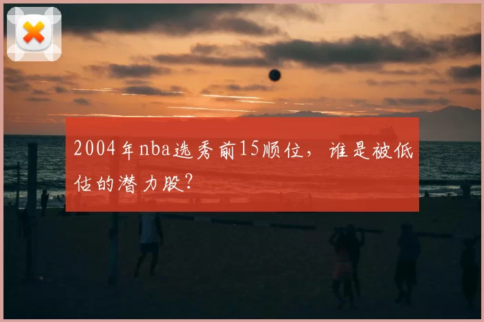 2004年nba选秀前15顺位，谁是被低估的潜力股？