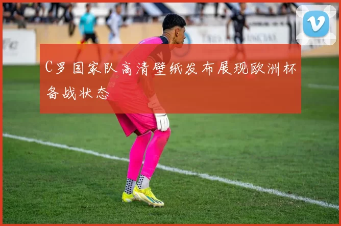 C罗国家队高清壁纸发布展现欧洲杯备战状态